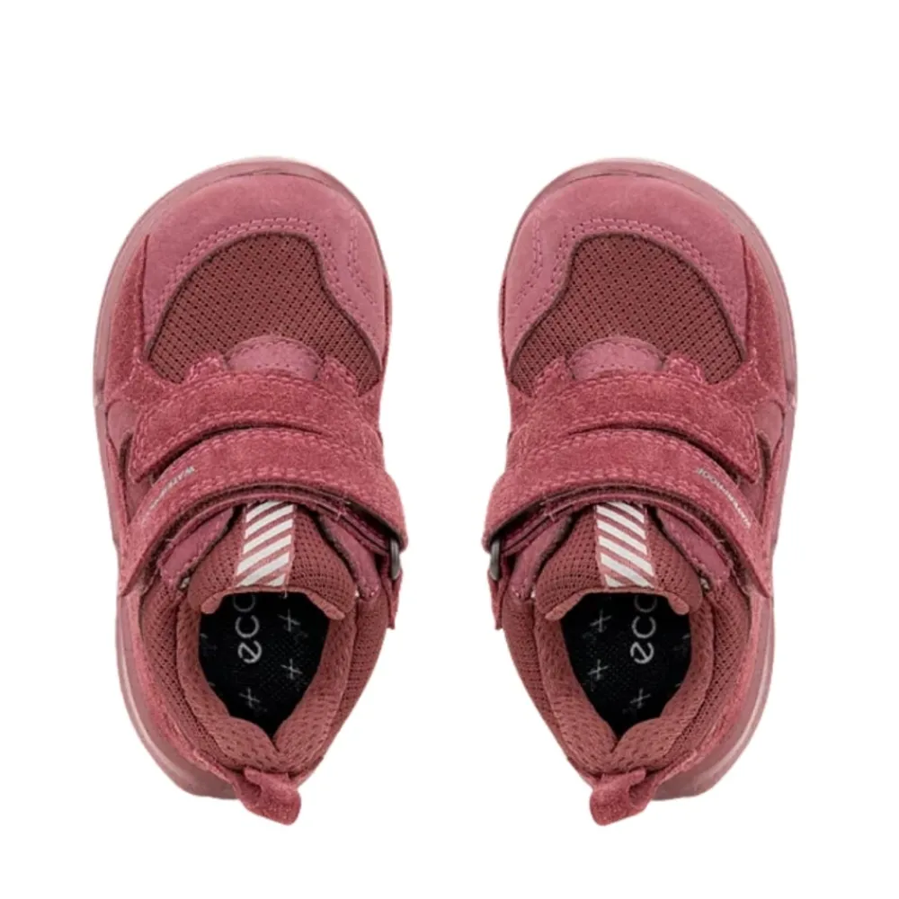 Online Ecco Biom 2.2 Infant Sneakers Børn Rosa