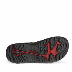 Clearance Ecco Offroad Andes II Sandal Herre Brun